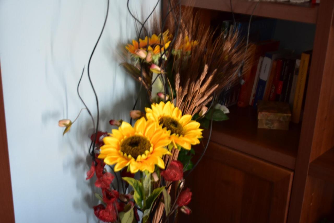 B&B Il Girasole อัสเซมินิ ภายนอก รูปภาพ