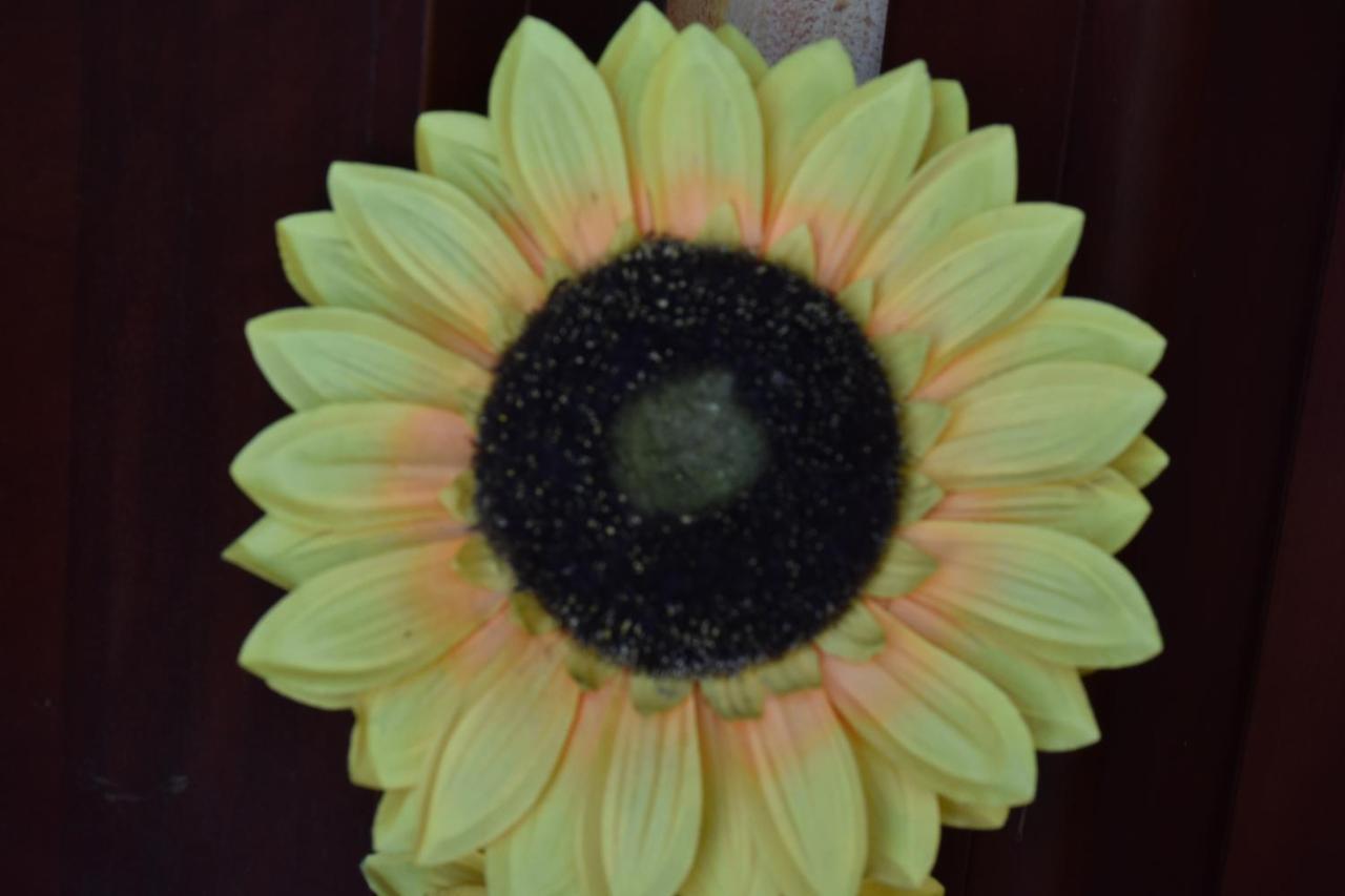 B&B Il Girasole อัสเซมินิ ภายนอก รูปภาพ