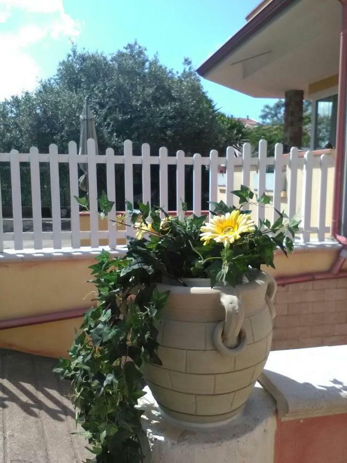 B&B Il Girasole อัสเซมินิ ภายนอก รูปภาพ